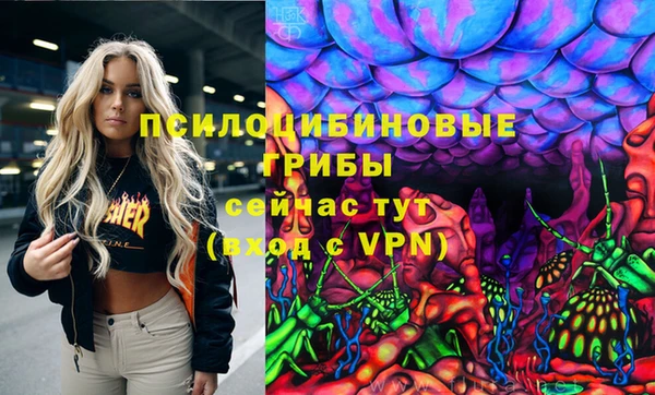 мяу мяу мука Аркадак