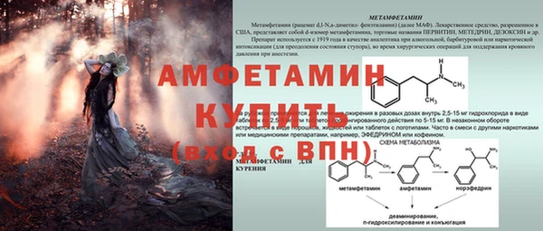мяу мяу мука Аркадак