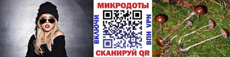 Псилоцибиновые грибы ЛСД  маркетплейс клад  Обоянь  blacksprut ONION 
